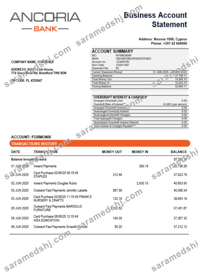 Ancoria bank business account statement Word and PDF template
